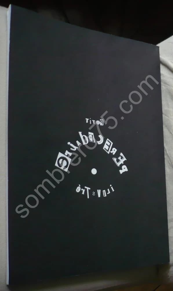 Petit Perecedaire Illustre - 27 Auteurs pour un Petit Perecedaire Illustré. Blaise Gautier - Image 11