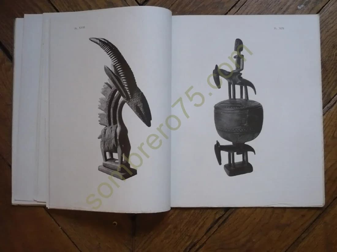 Sculptures Africaines et Océaniennes. Texte et A Level - Image 3