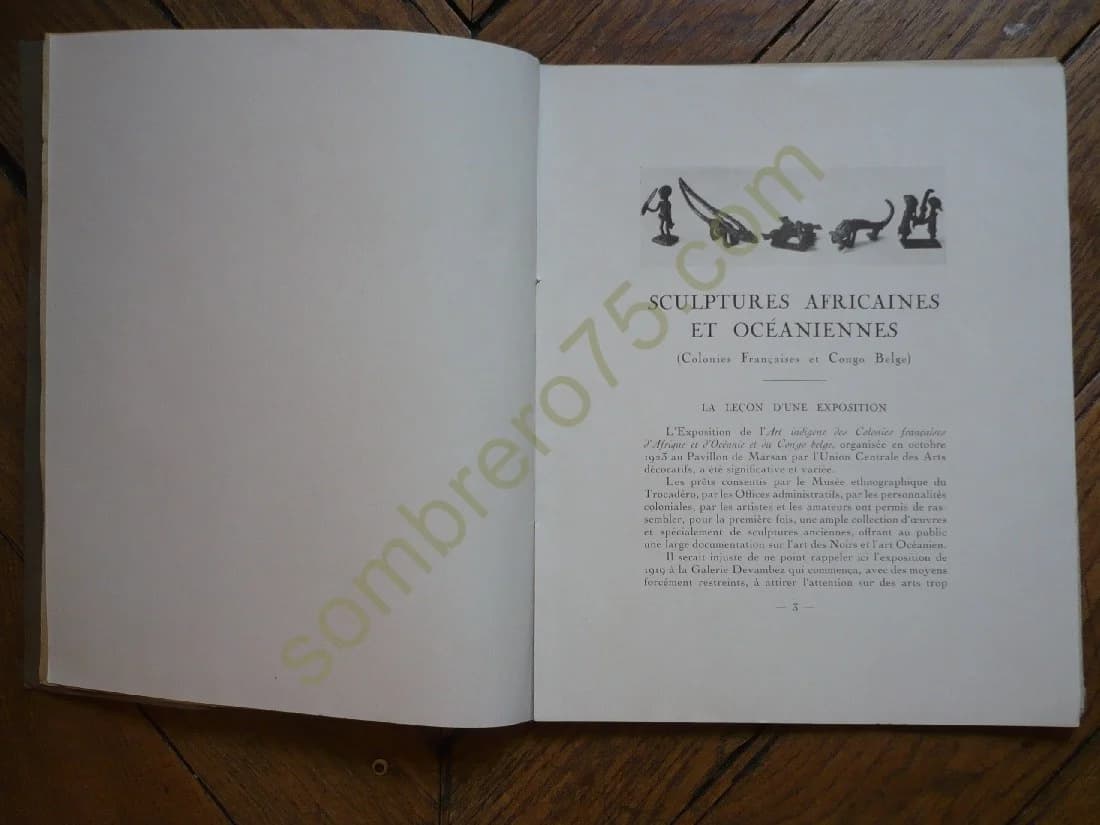 Sculptures Africaines et Océaniennes. Texte et A Level - Image 5
