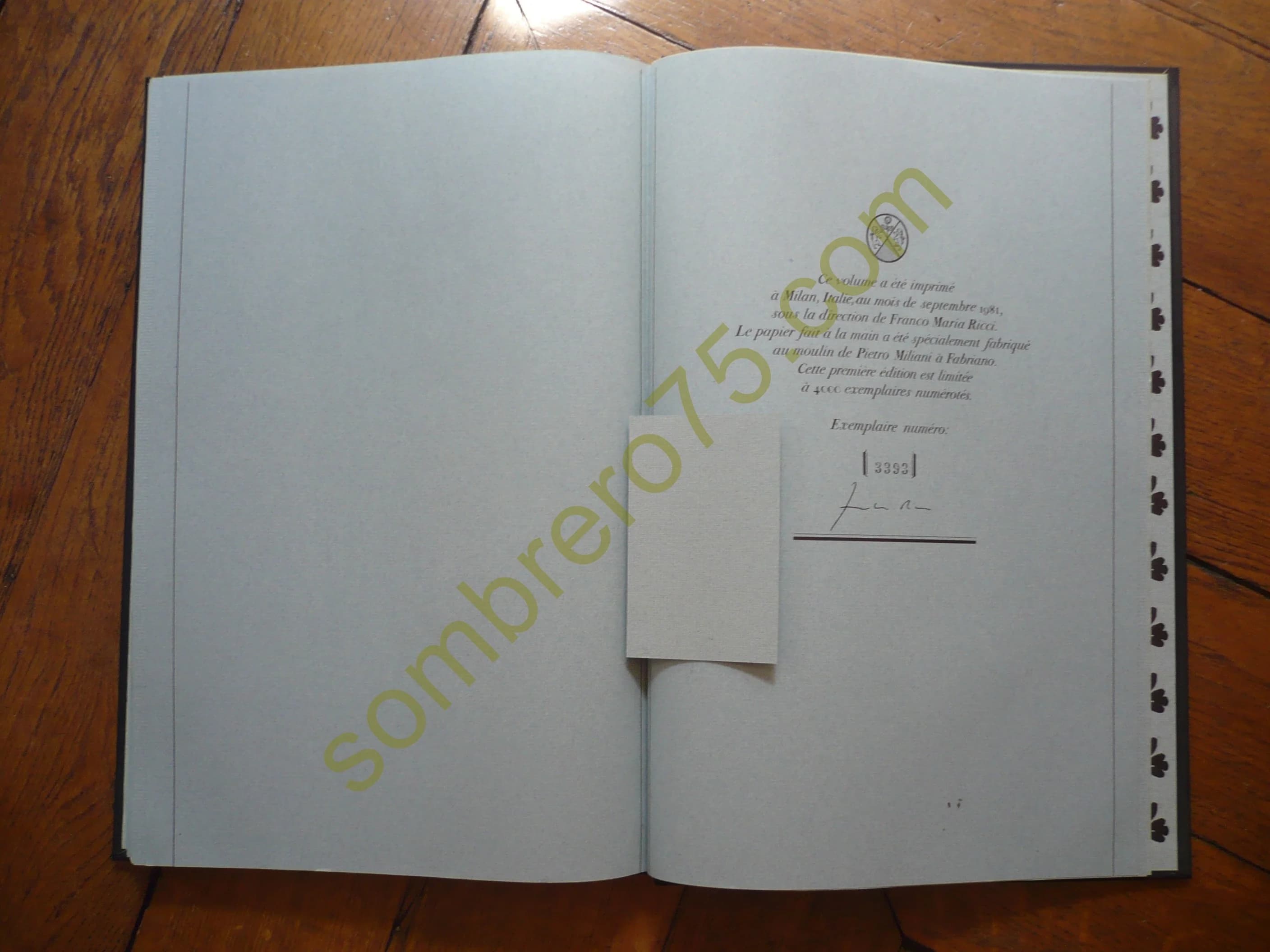 Ligabue - Les Signes de l'Homme 10.. FMR - Image 4