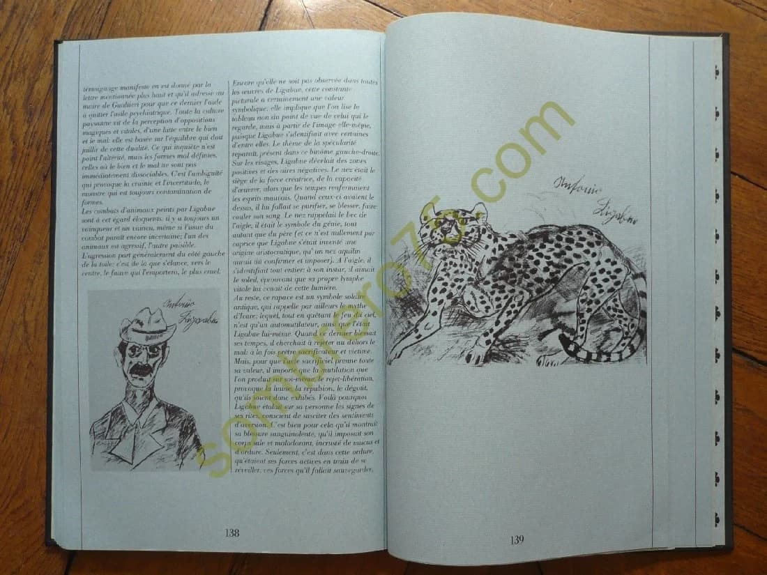 Ligabue - Les Signes de l'Homme 10.. FMR - Image 5