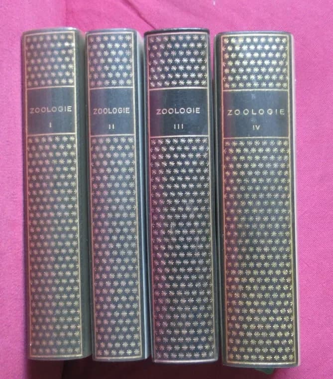 Zoologie I - II - III - IV . Pléiade. 4 tomes - Image 2