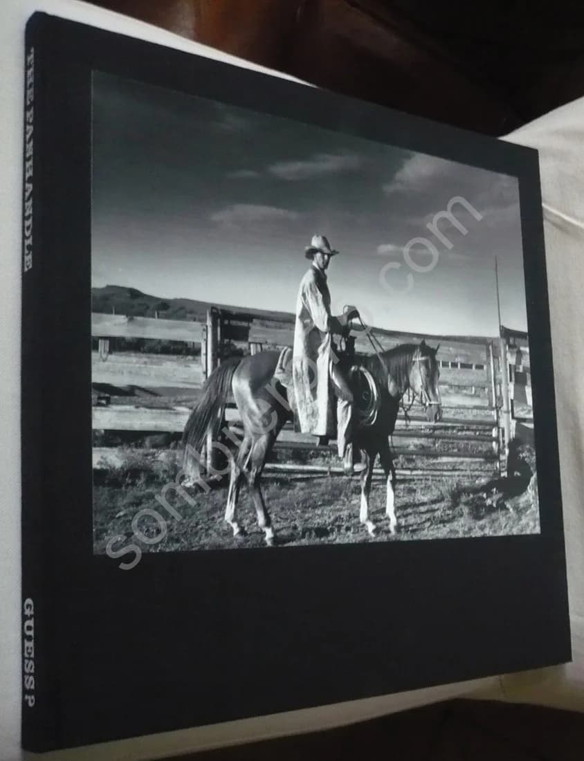 The Panhandle Guess - Image 2