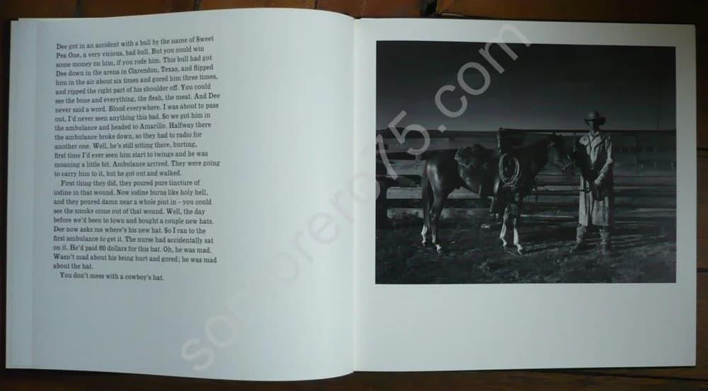 The Panhandle Guess - Image 4