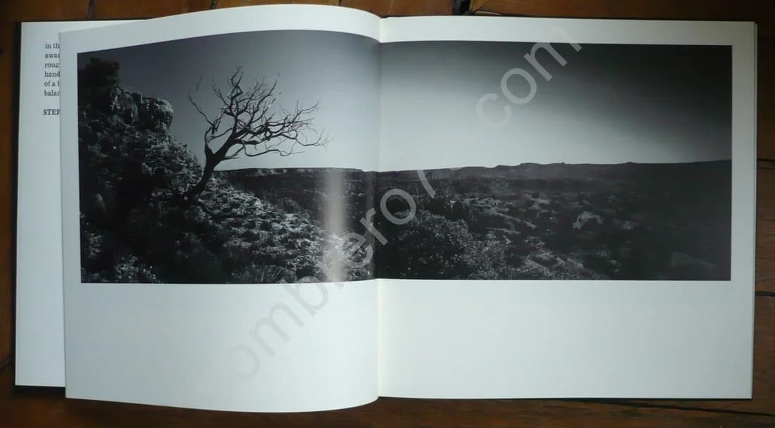 The Panhandle Guess - Image 5