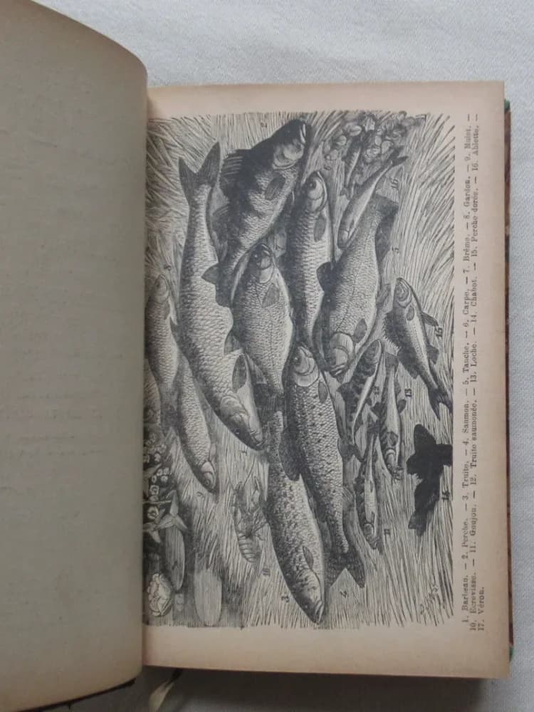 Charles de MASSAS. Le Pêcheur à la Mouche Artificielle 4e Ed. relié - Image 5