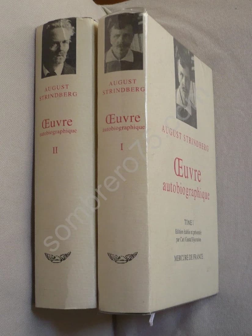 - Oeuvre Autobiographique - 2 Volumes - Image 2
