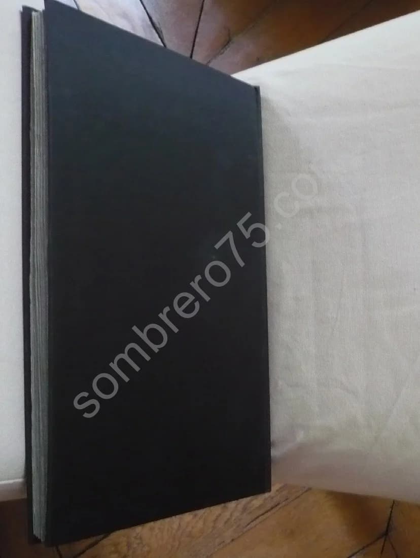 Boldini. Texte de. FMR - Image 3