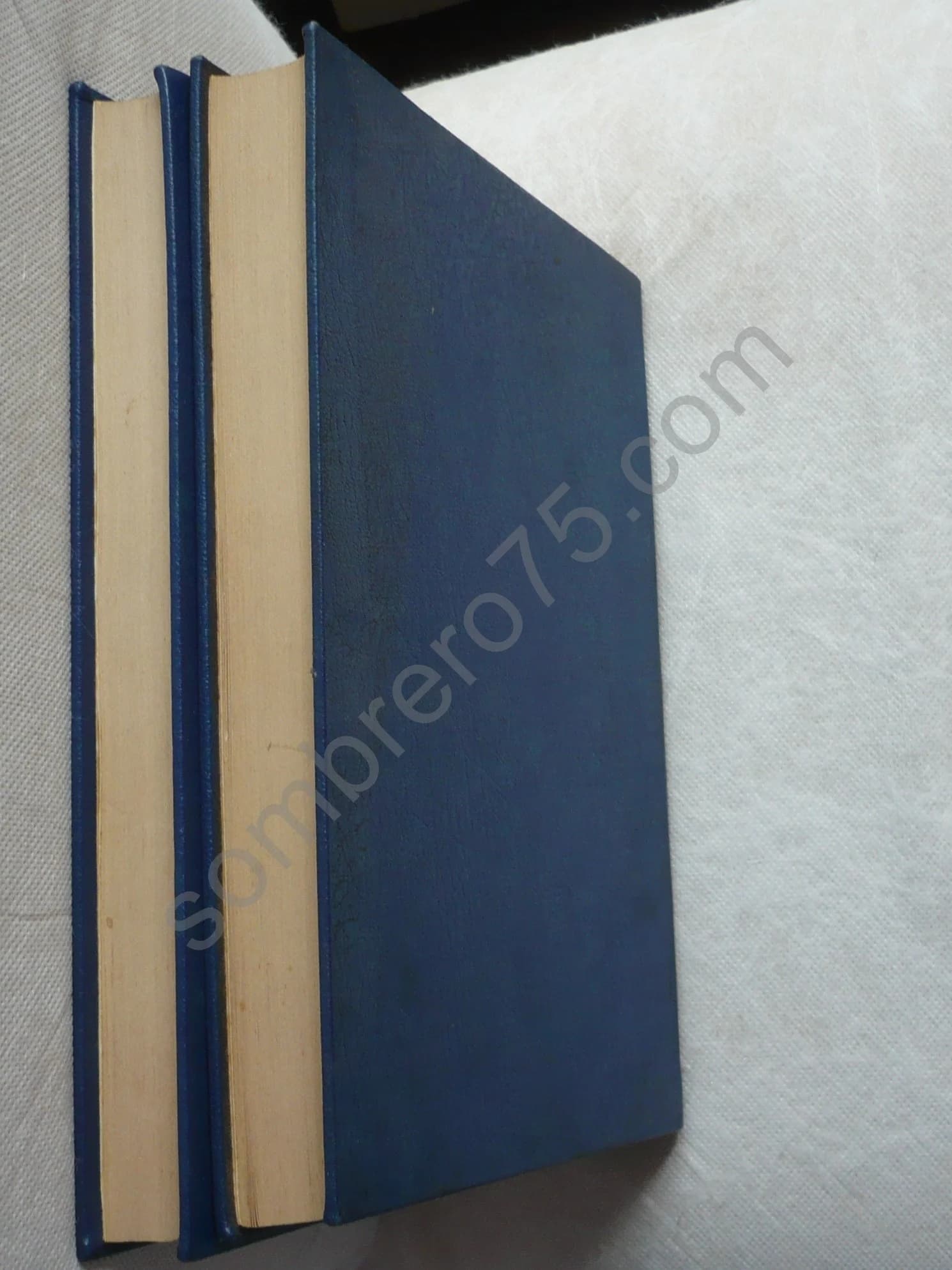 La Langue Hébraïque. 2 Volumes - Image 2