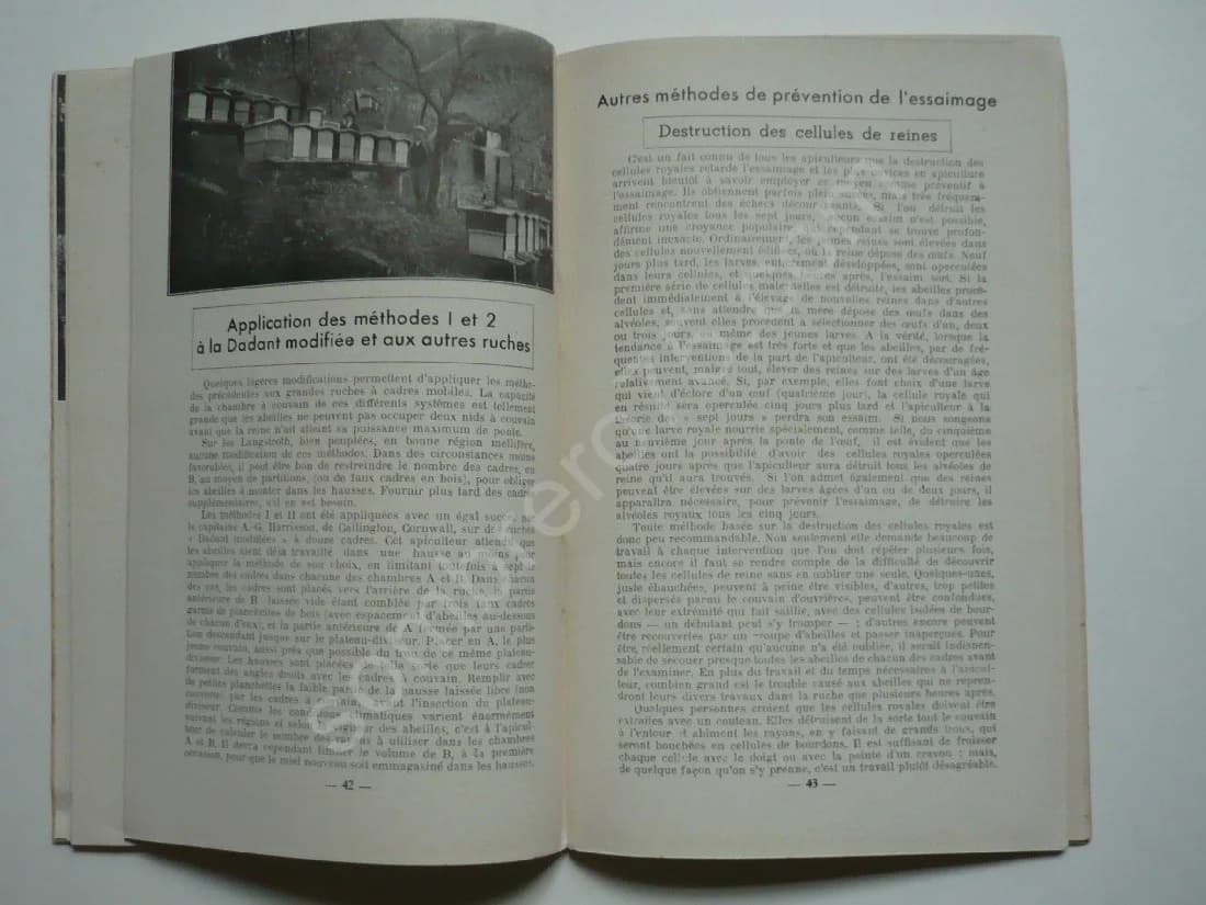 Conduite de la Ruche Langstroth - Image 2