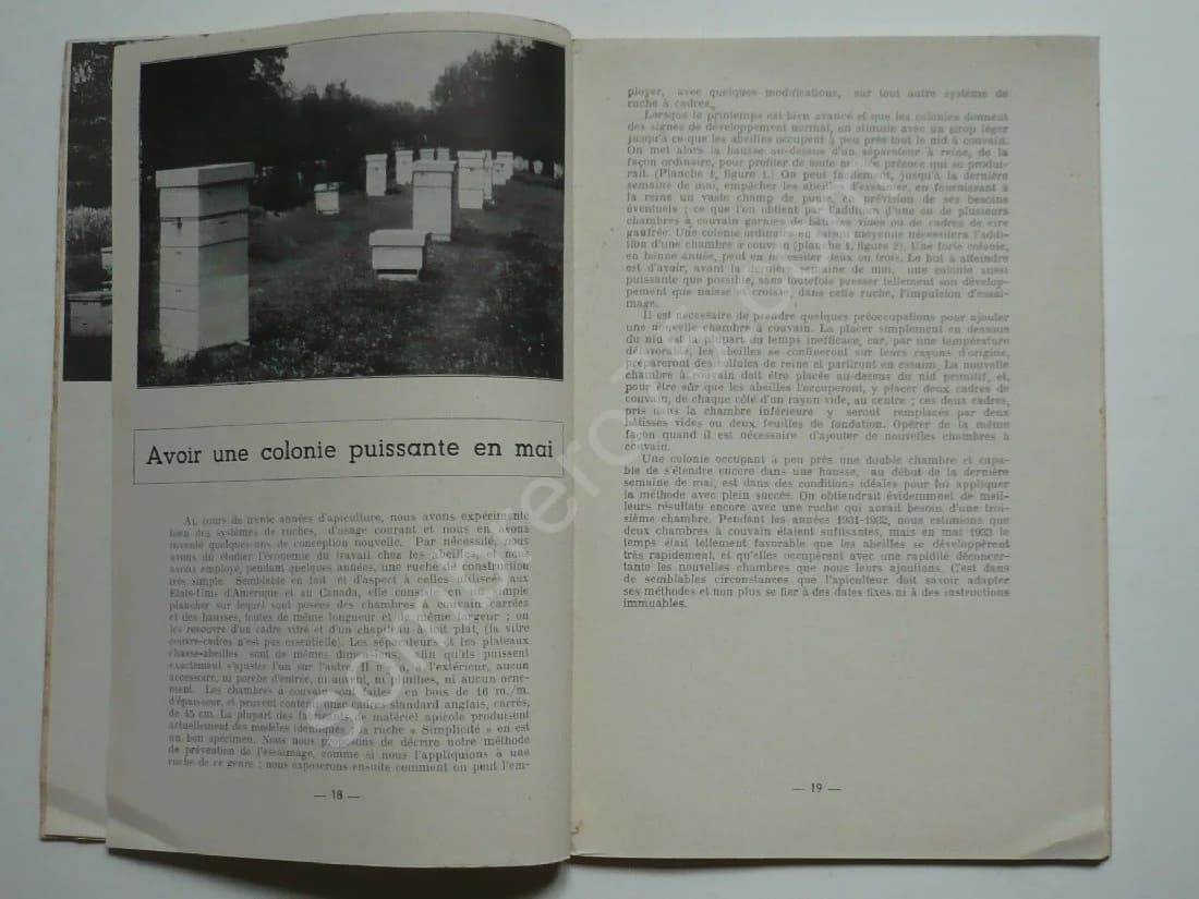 Conduite de la Ruche Langstroth - Image 3