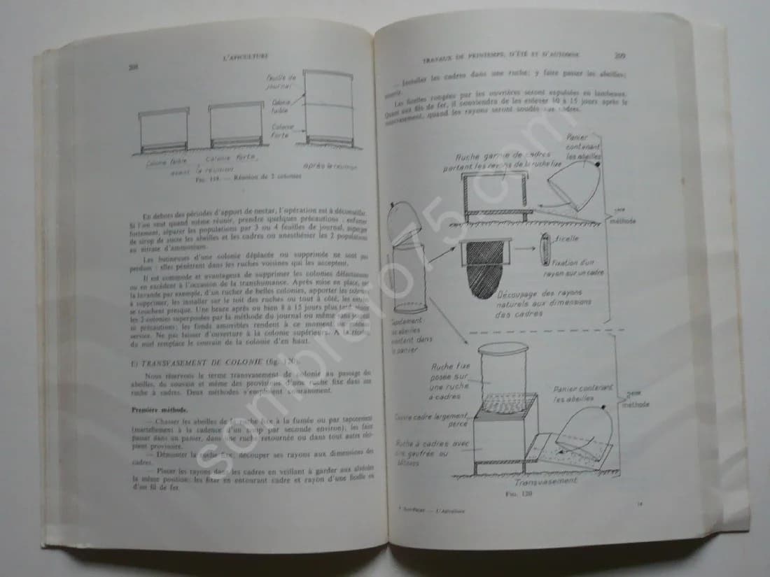 Apiculture Connaitre l'Abeille Conduire le Rucher. Pierre JEAN PROST - Image 4