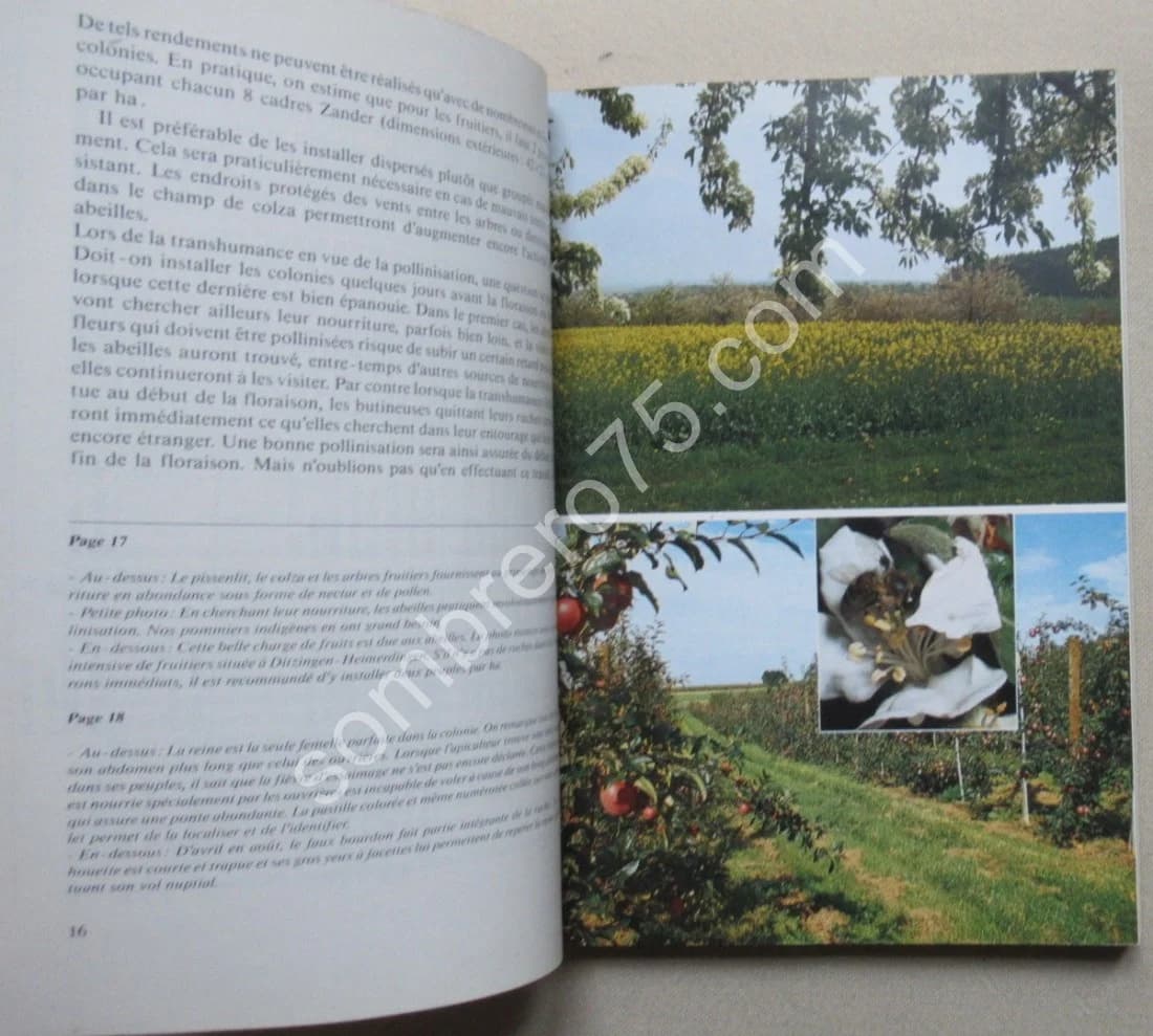 Apiculteur d'aujourd'hui - Image 3