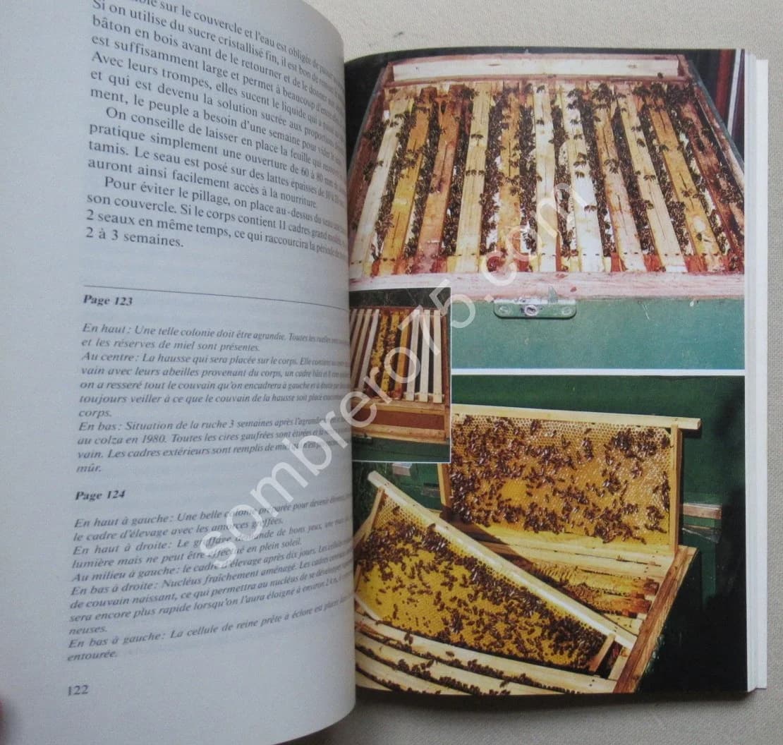 Apiculteur d'aujourd'hui - Image 4