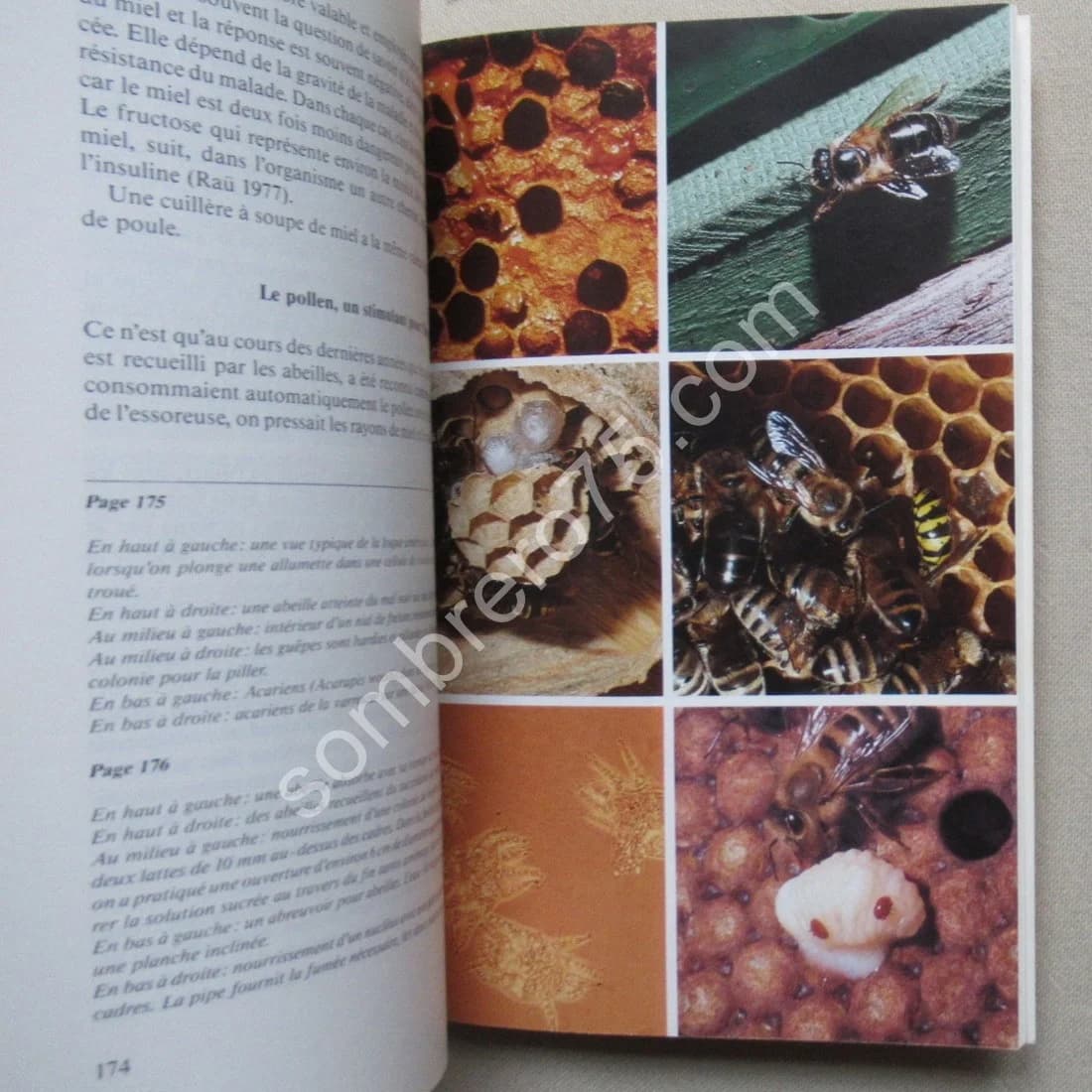Apiculteur d'aujourd'hui - Image 5