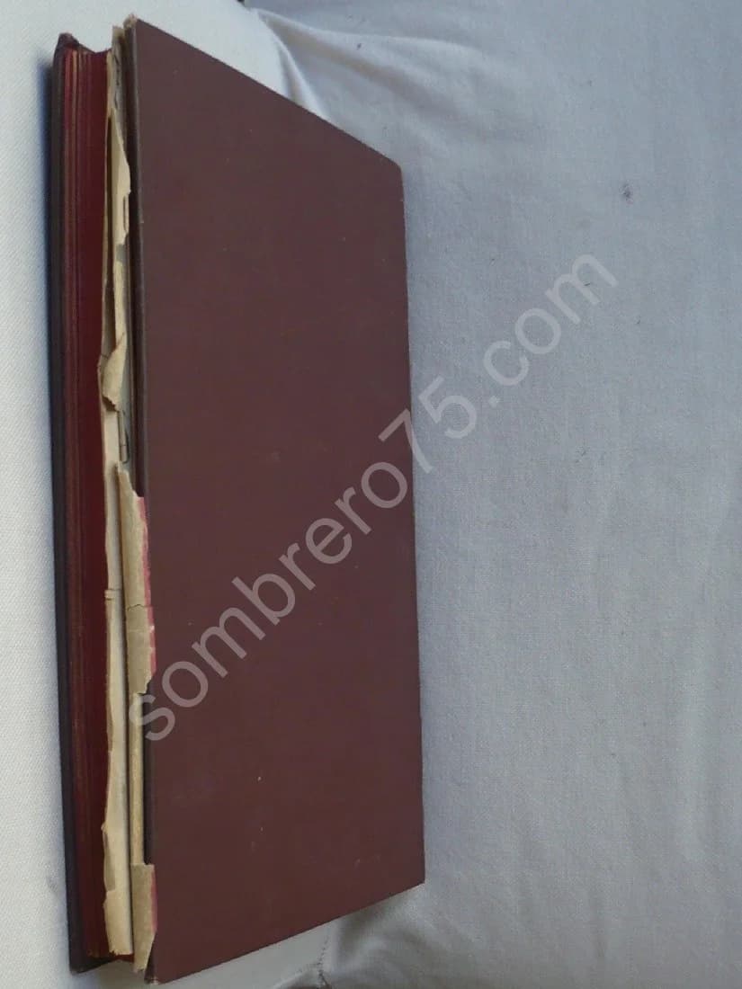 L'audition Colorée, Étude sur les Fausses Sensations Secondaires Physiologiques et particulièrement sur les Pseudo-Sensations - Image 2