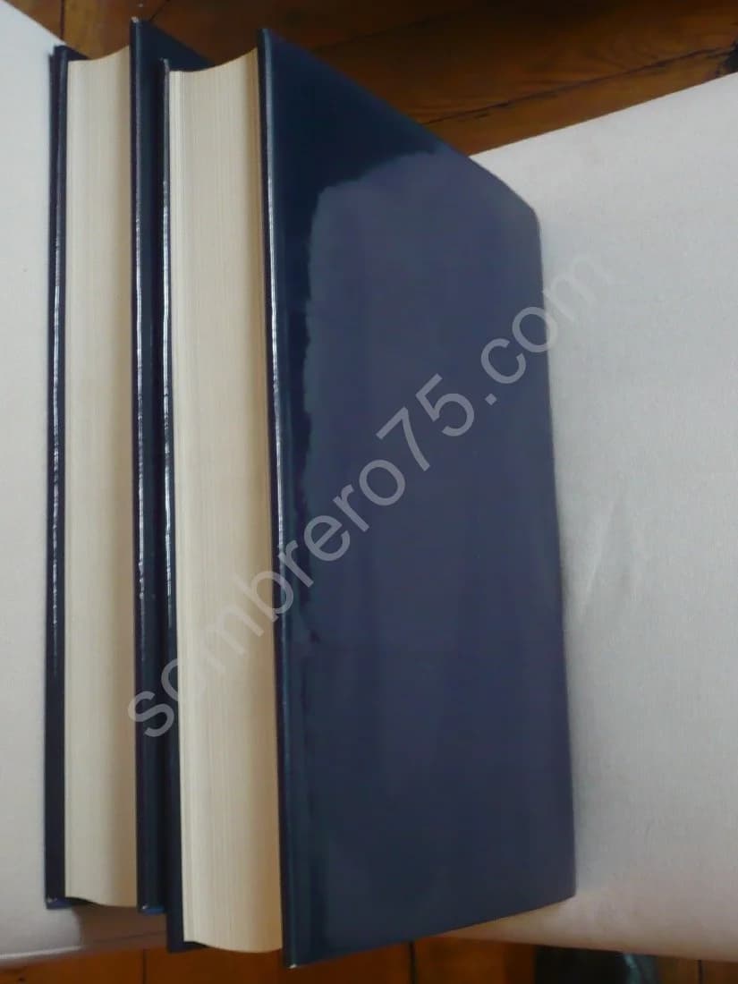 Illustrated Dictionary of 17th Century Flemish Painters - Image 3