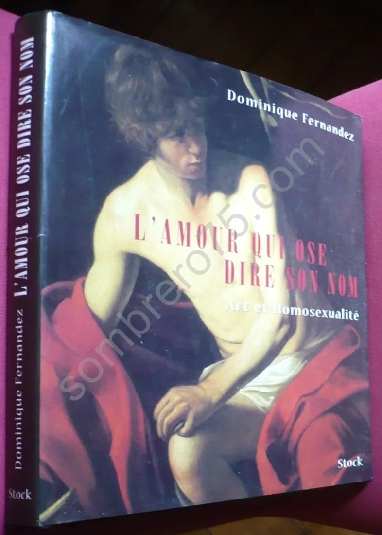 L'Amour qui Ose Dire son Nom : Art et Homosexualité. D FERNANDEZ