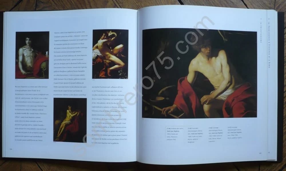 L'Amour qui Ose Dire son Nom : Art et Homosexualité. D FERNANDEZ - Image 2