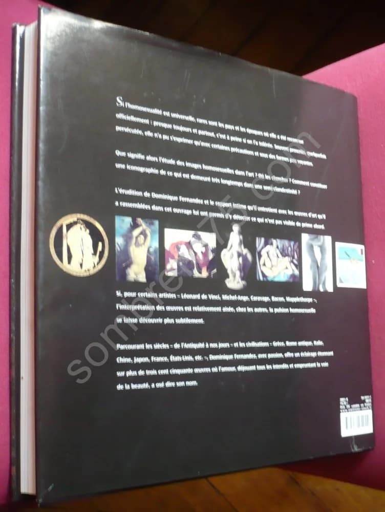 L'Amour qui Ose Dire son Nom : Art et Homosexualité. D FERNANDEZ - Image 3