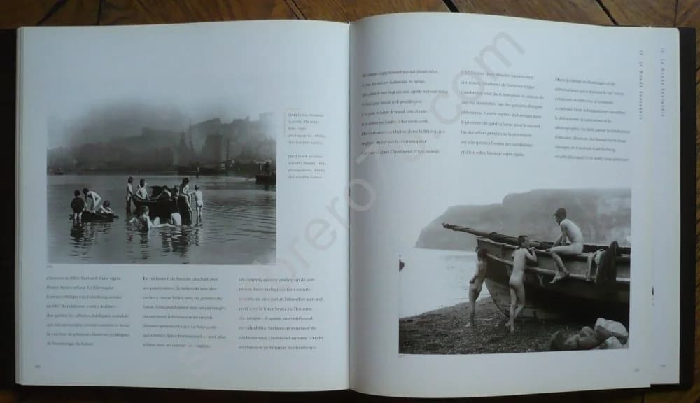 L'Amour qui Ose Dire son Nom : Art et Homosexualité. D FERNANDEZ - Image 4