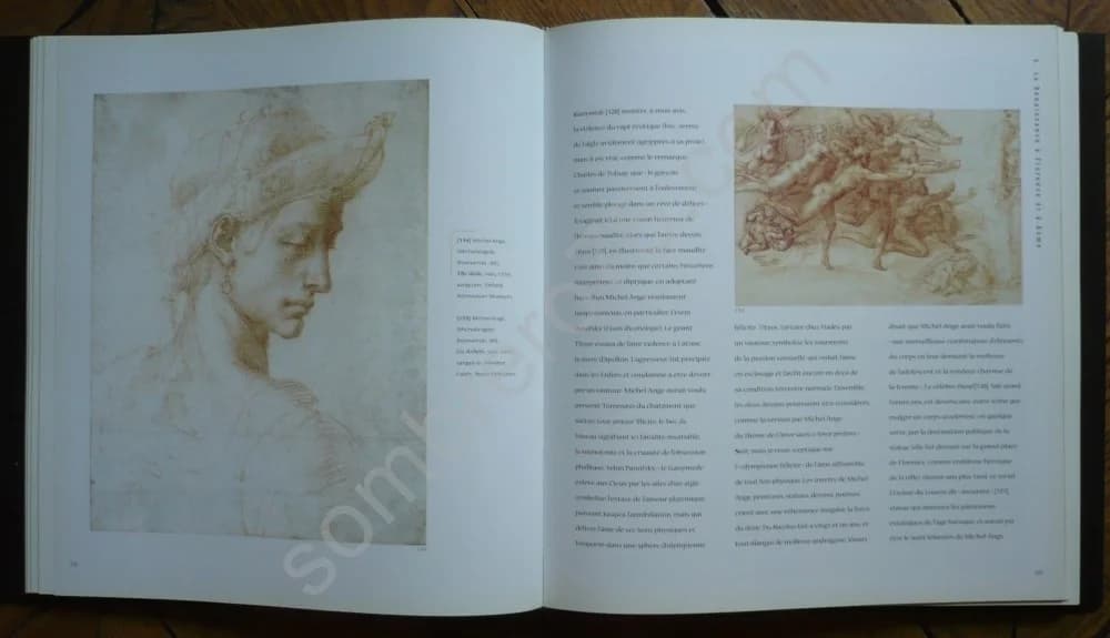 L'Amour qui Ose Dire son Nom : Art et Homosexualité. D FERNANDEZ - Image 5