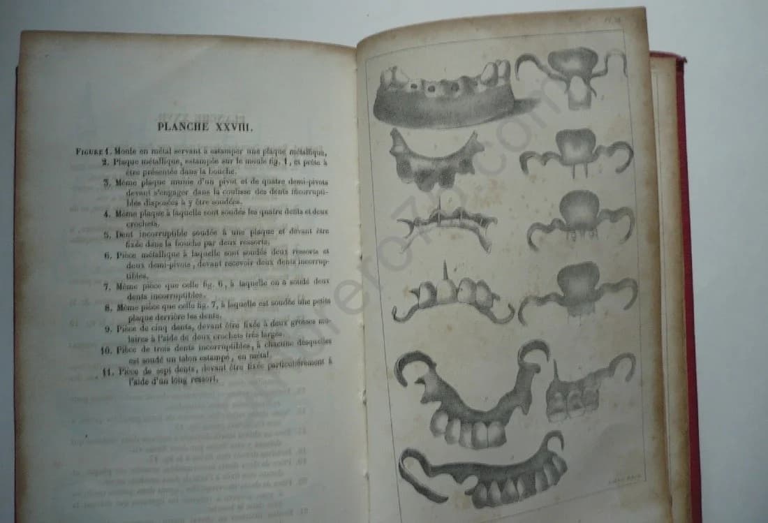 Traité Complet de l'Art du Dentiste d'après l'Etat Actuel des Connaissances... Suivi d'une Bibliographie des Auteurs qui ont Écr - Image 4