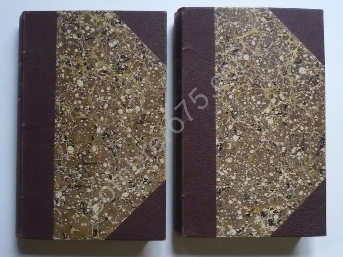 Histoire de la Ville et du Port de Rochefort. 2 Volumes. 1845. E.J. Fleury - Image 2