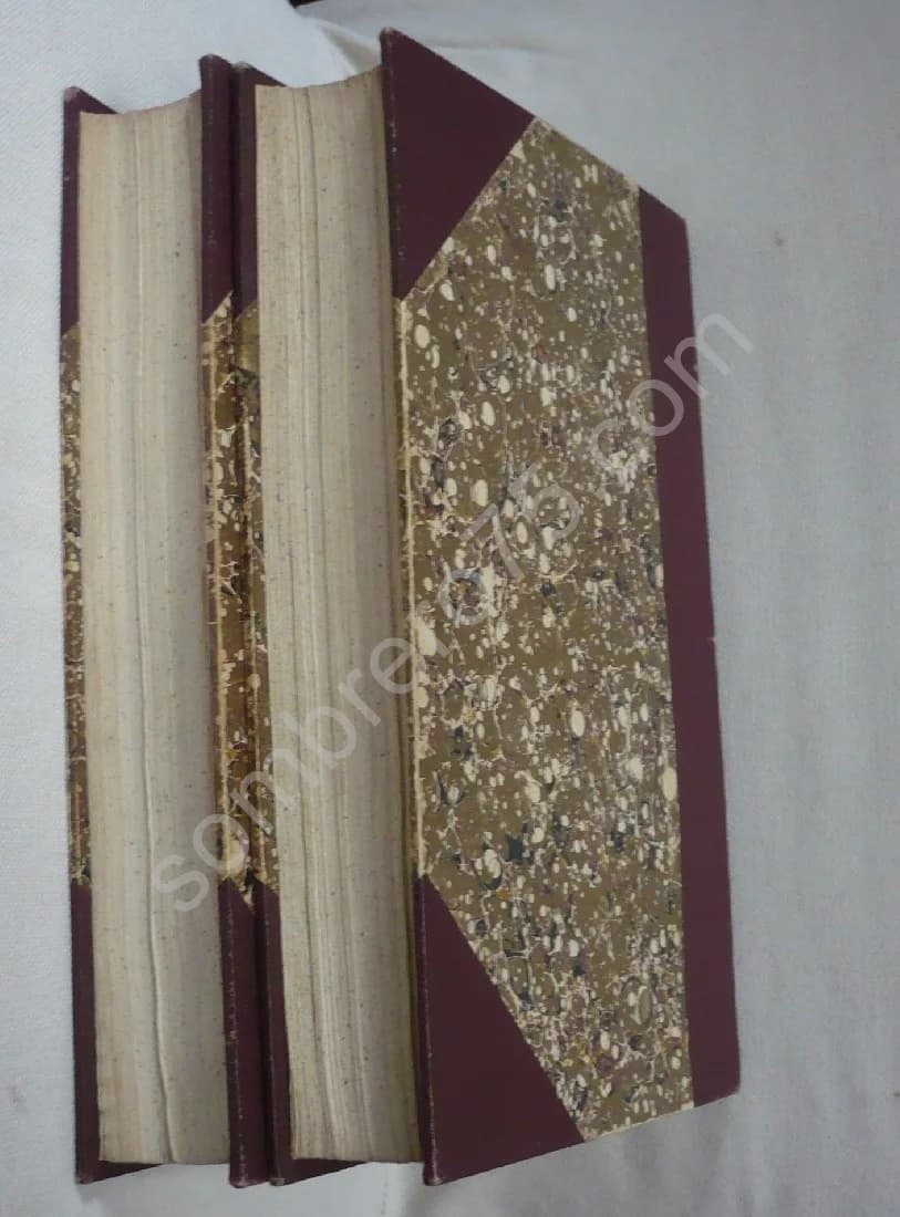 Histoire de la Ville et du Port de Rochefort. 2 Volumes. 1845. E.J. Fleury - Image 3