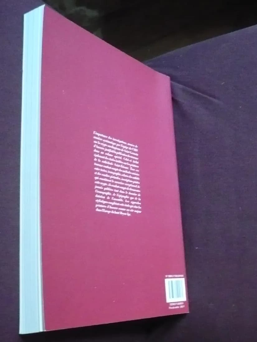 Peindre à Auxerre au Moyen Age. Christian SAPIN - Image 8