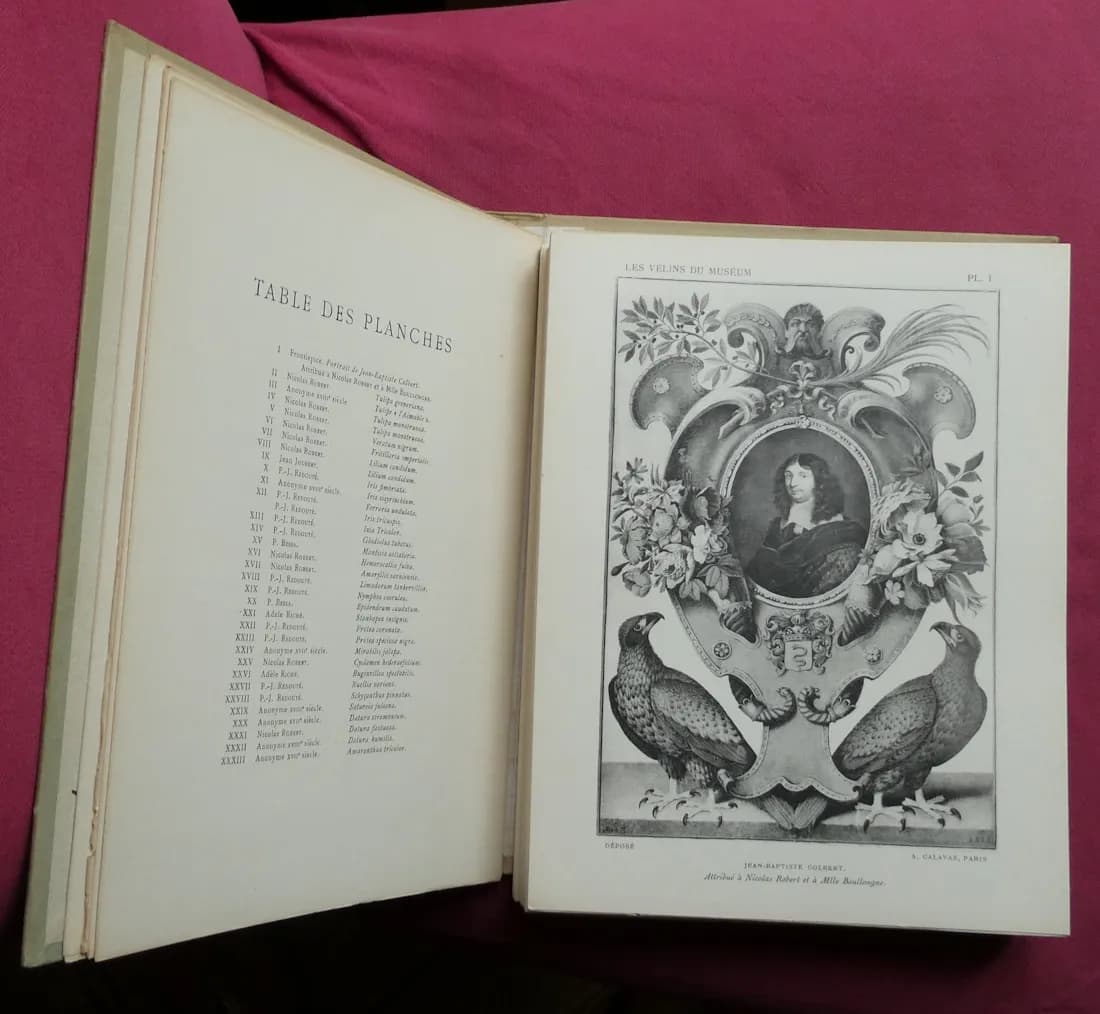 Les Vélins du Museum d'Histoire Naturelle de Paris. Léon BULTINGAIRE - Image 4