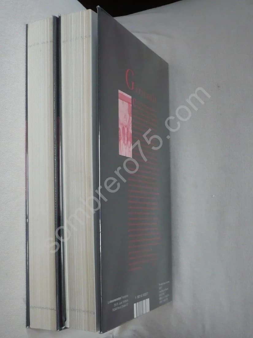 Géricault - Conférences et Colloques Louvre. 2 Volumes - Image 3