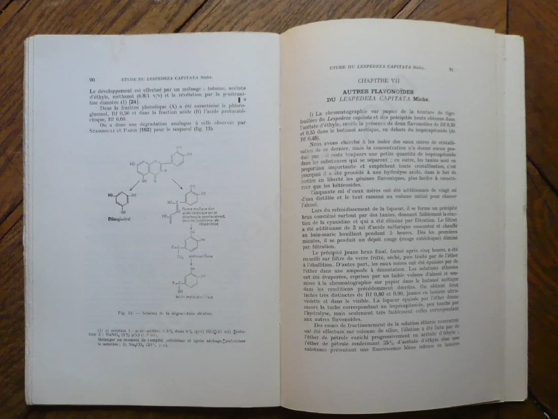 Contribution à l'Etude du Lespedeza Capitata Michx. Légumineuse à Flavonoïdes - Image 5