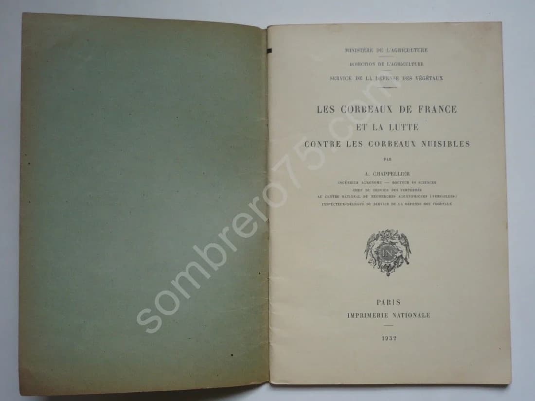 Les Corbeaux de France et la Lutte contre les Corbeaux Nuisibles - Image 2