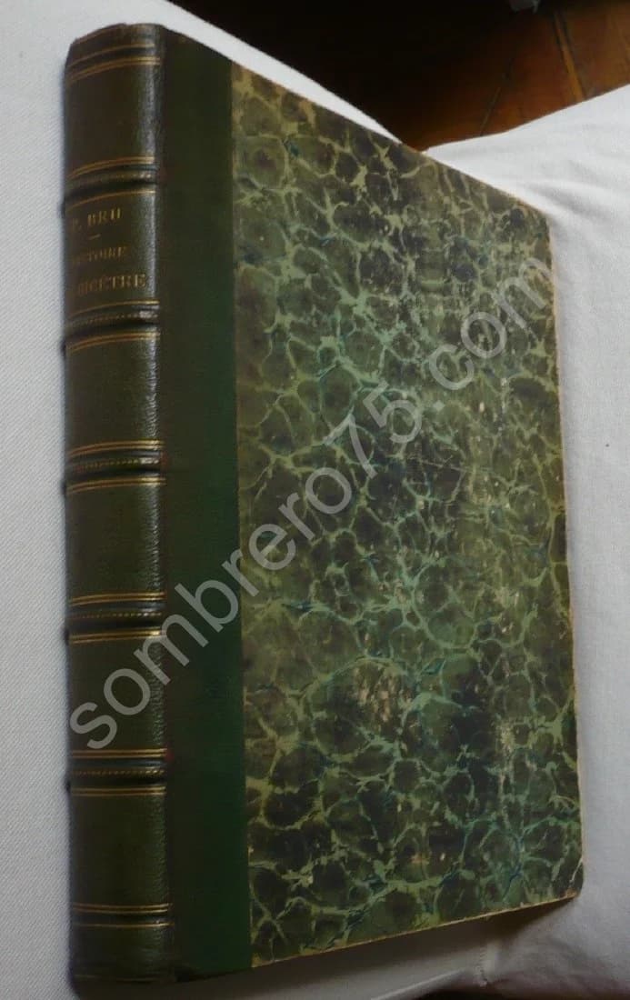 Histoire de Bicêtre - Hospice - Prison - Asile. 1890