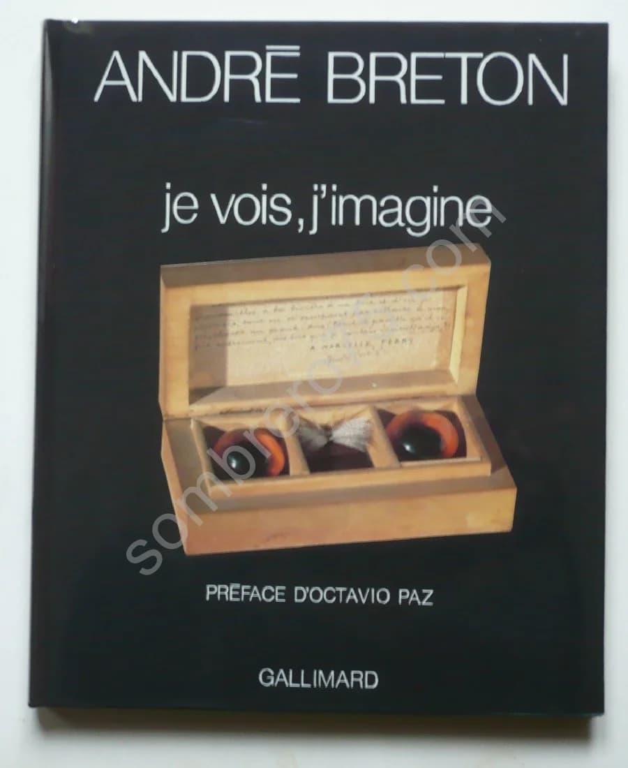 - Je vois, j'imagine. Préface Octavia Paz