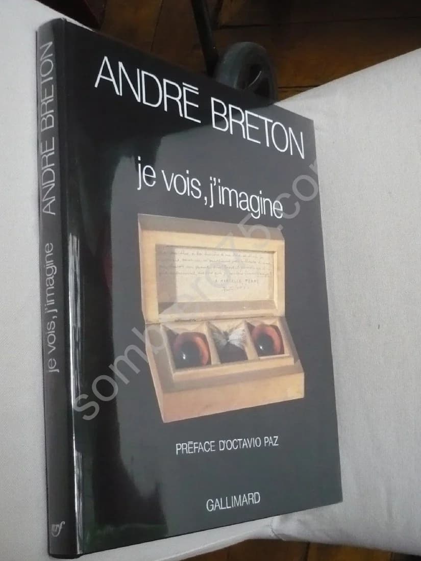 - Je vois, j'imagine. Préface Octavia Paz - Image 2