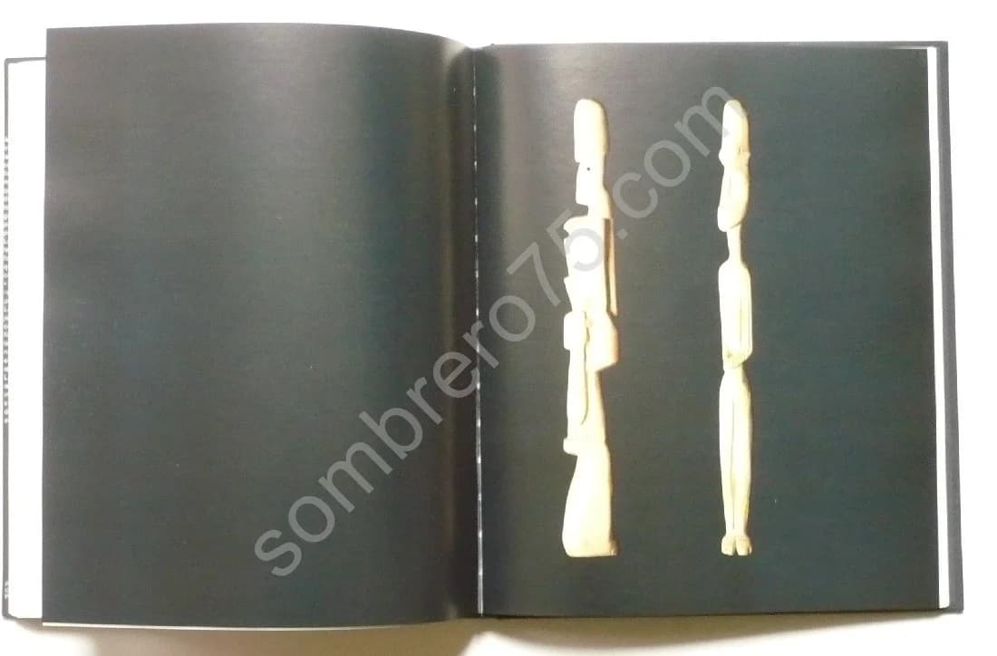 - Je vois, j'imagine. Préface Octavia Paz - Image 4