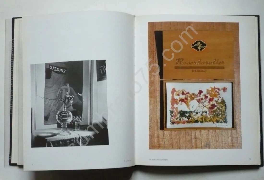 - Je vois, j'imagine. Préface Octavia Paz - Image 5