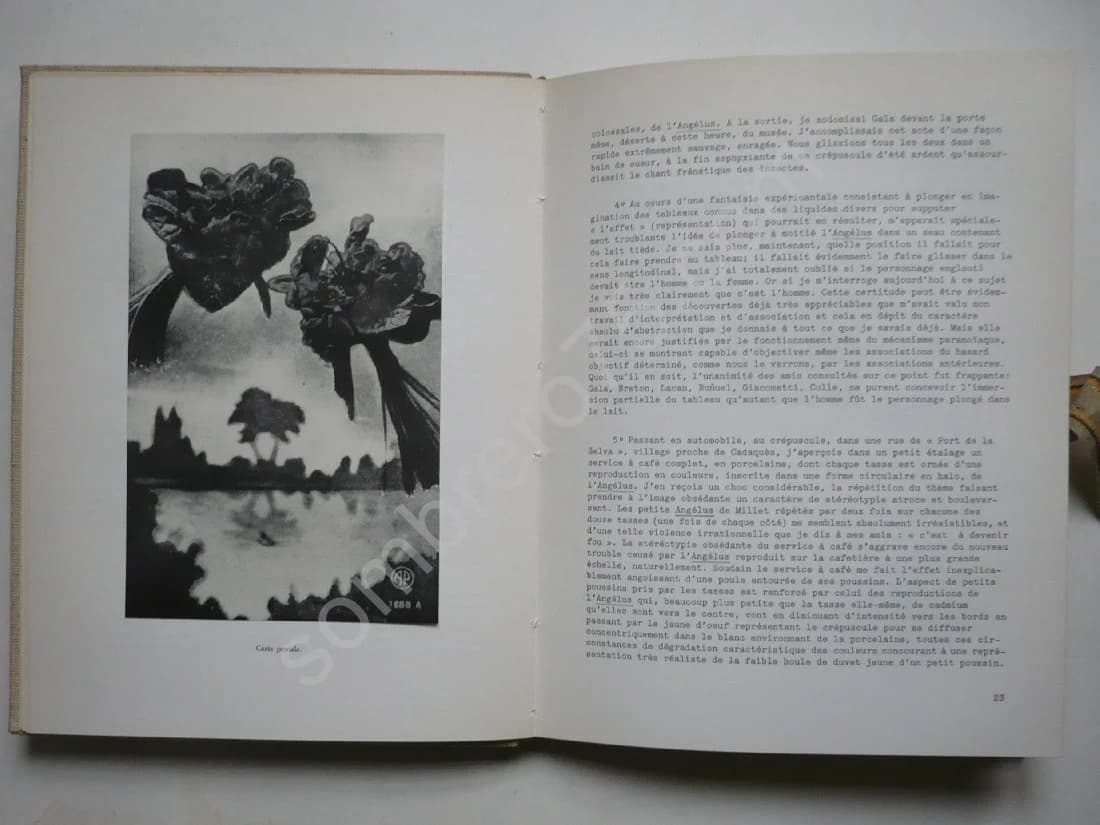 Le Mythe Tragique de l'Angélus de Millet - Dali - Image 6