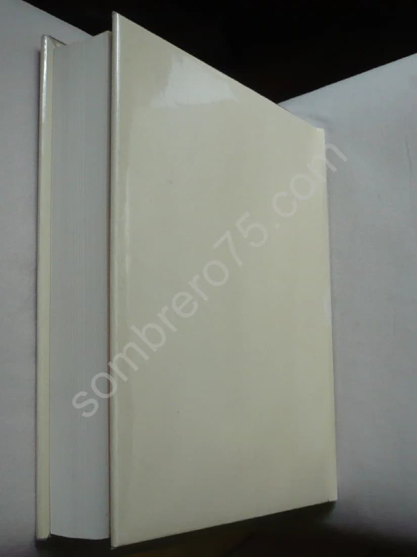 Picabia. Maria Lluisa Borras - Image 3