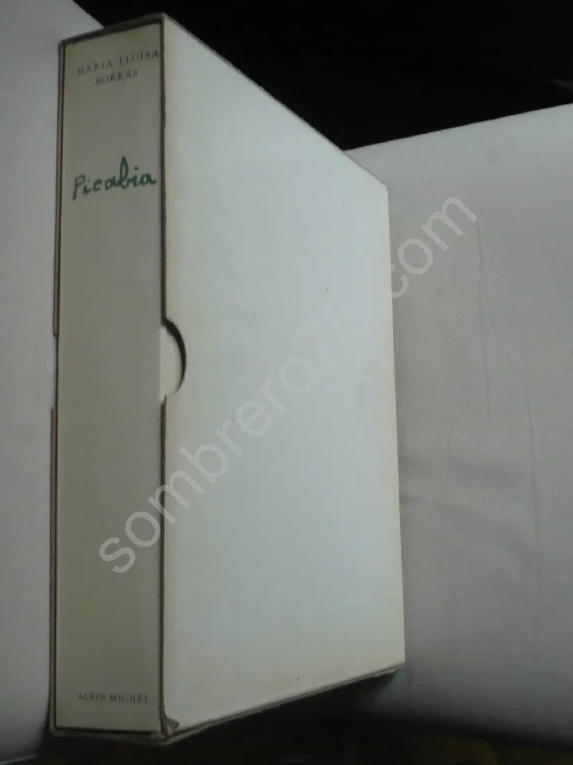 Picabia. Maria Lluisa Borras - Image 4