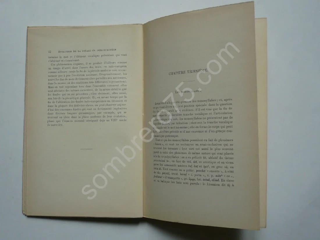 La Fin de Mot en Indo Européen. Thèse - Image 3