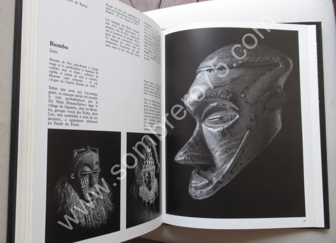 Masques d'Afrique dans les Collections du Musée Barbier-Müller - Image 5