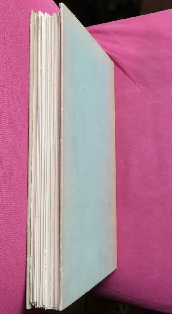 Les Vélins du Museum d'Histoire Naturelle de Paris. Léon BULTINGAIRE - Image 8