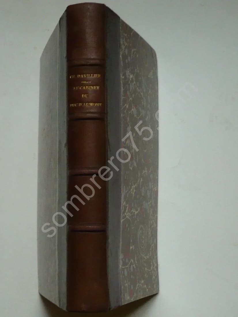 Le Cabinet du Duc d'Aumont et les Amateurs de son Temps. 1870