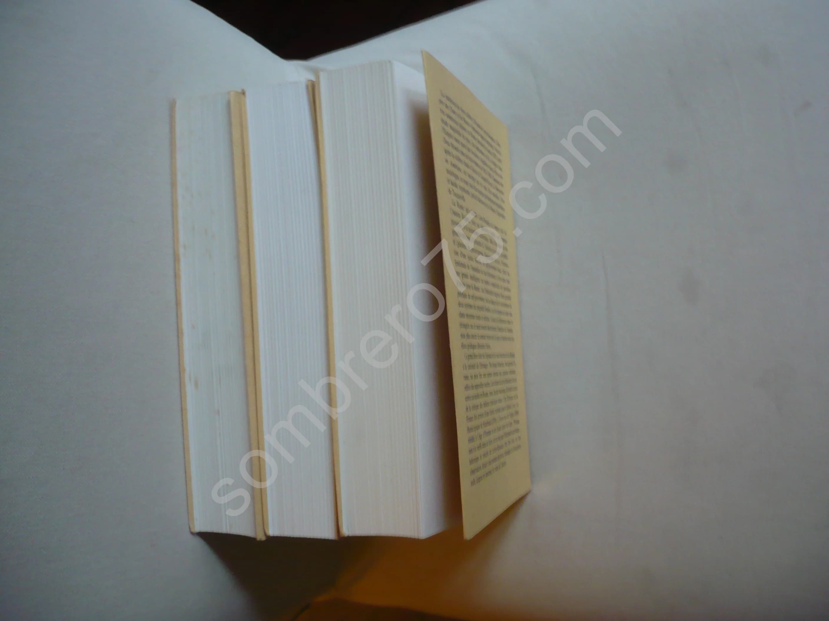 L'Empire des Tsars et les Russes. 3 Volumes. LEROY BEAULIEU - Image 3