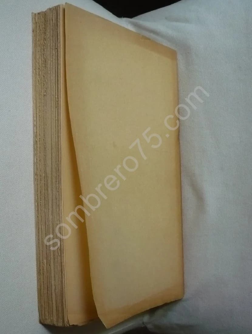 Les Lézardes du Temple - Image 3