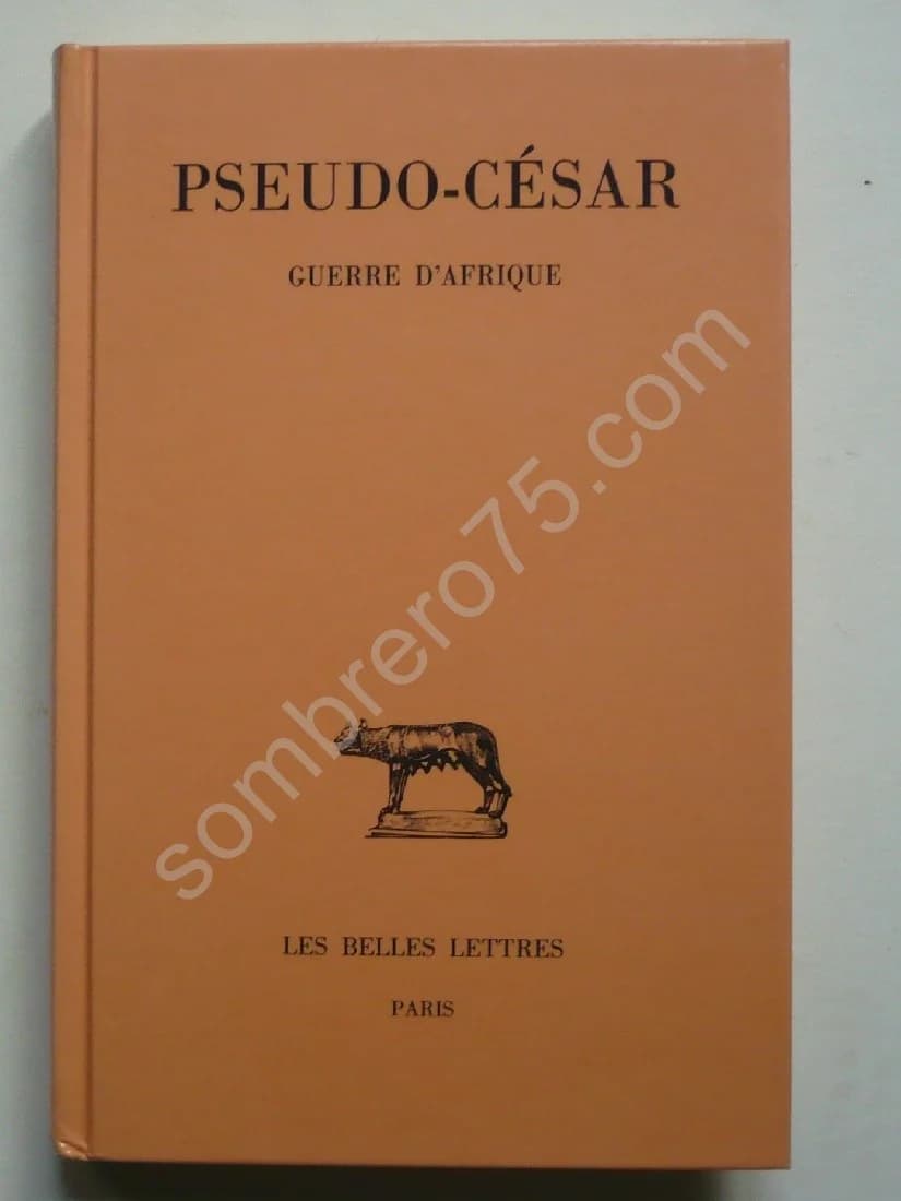 Pseudo-César Guerre d'Afrique. Jean Claude Richard - Image 2