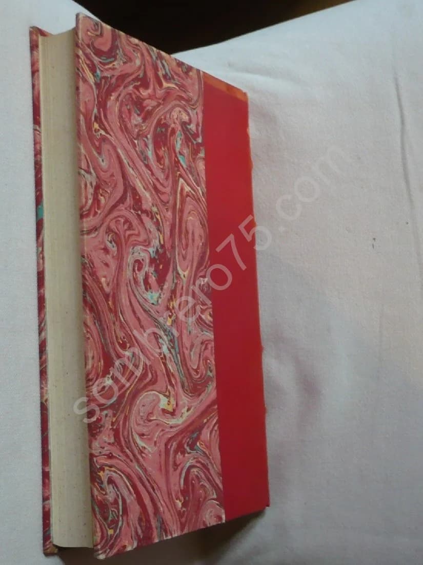 Les Arachnides, Scorpions, Araignées - Image 2